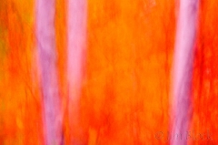 Blur