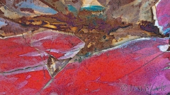 47