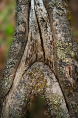 53