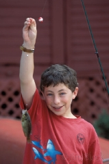 12-2131-jwith-fish