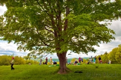 Kite Day
