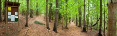 01-cy526-milton-frye-entrance-pan
