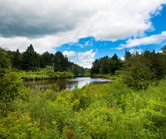 27-cz635-river-and-sky