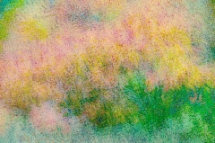 multi-of-sumacs-and-asters-in-fall-sketch