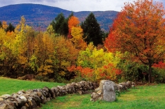 07-1962-old-stone-wall-in-warner-nh