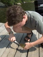 removing-the-hook