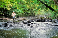 fishing-the-river