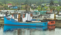 margaree-harbor