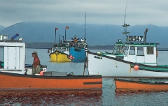 white-point-harbor