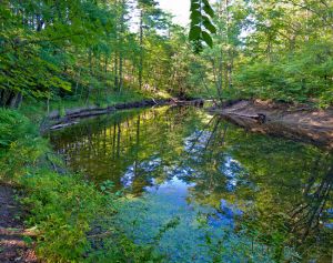 df460-blackwater-river