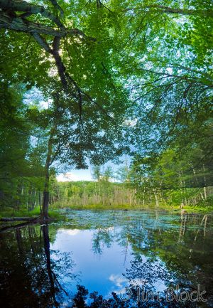 df478-adder-pond-outlet-pan-7