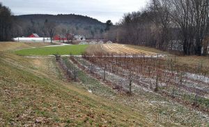 DH161A-Edgewater-Farm-late-December.jpg