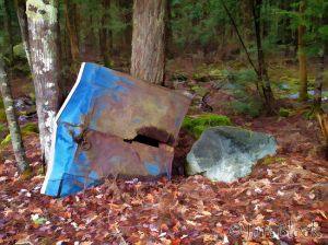 DH224-Old-car-hood-near-Goose-Pond-Simplified.jpg