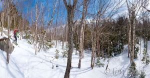 DH990--Snowshoing-the-Ridgeline--Pan-(7).jpg