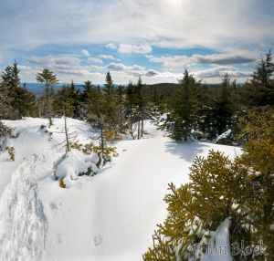 DI007-Monadnock-Sunapee-Greenway-in-Winter--Pan-(14).jpg