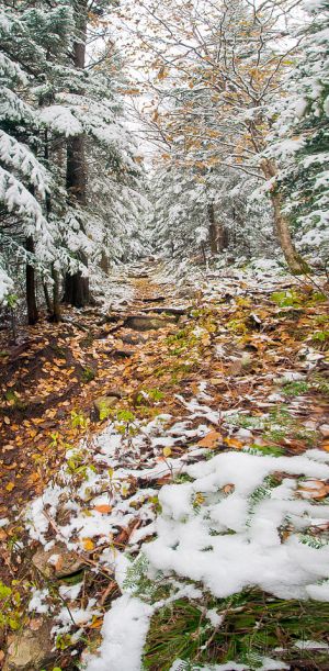CW540--Ranger-Trail-up-Smarts--Pan-(3).jpg