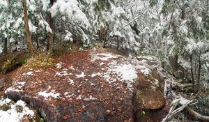 CW553--Icy-Trail-up-Smarts.jpg