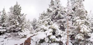 CW559-Early-October-snow-on-Smarts-Mountain--Pan-(8)-.jpg