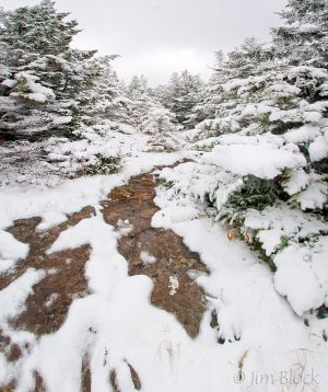 CW560-Snowy-trail-up-Smarts--Pan-(3).jpg