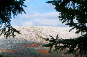 CW576J-Fire-tower-on-Smarts-from-Lambert-Ridge.jpg