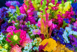 02--DL230-watercolored-flowers-.jpg