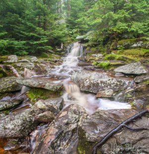 44A--DK490--Stream-near-Cardigan-West-RidgeTrail--Pan-(3)-copy.jpg