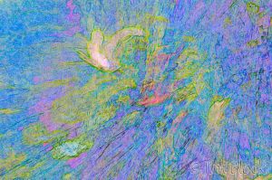 82--DL233V-find-edges-.jpg