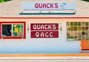92--DL457-Quacks-QACC.jpg