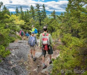 DM207--Descending-SRKG-9--Pan-(3).jpg