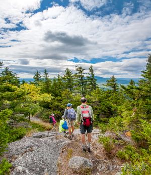 DM208--Heading-down-Ragged--Pan-(3).jpg