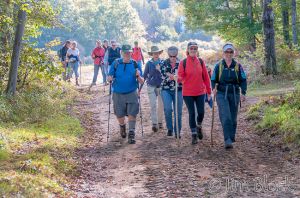 DM275.jpg
