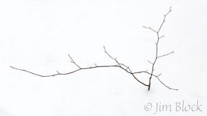 DP147.jpg