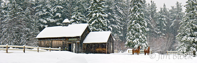 DD098--Horses-at-Fieldstone-Farm
