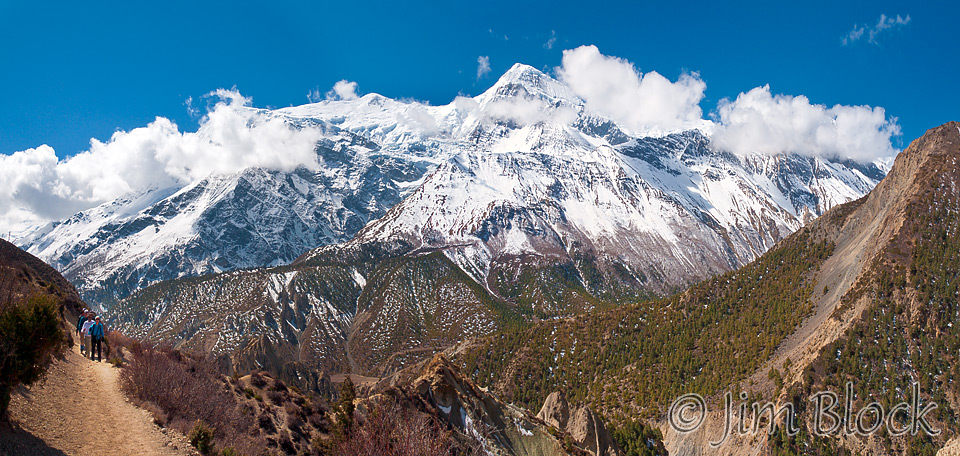 NPL-36276-Gangapurna--Pan-(3)