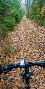 DN200-Biking-Tunis-Road