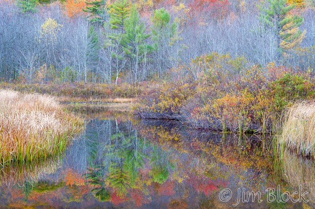 DM741 Wetland in Fall