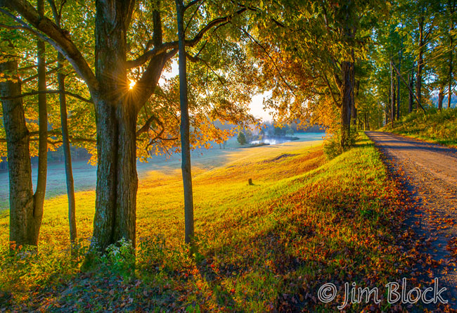 DS247--Bragg-Hill-at-Dawn--Pan-(2)