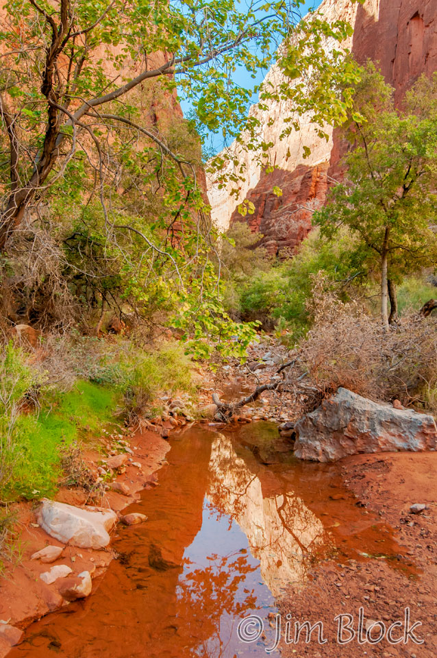 DT323B-Creek-in-Saddle-Canyon
