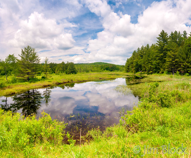 DW466-Danbury-Bog--Pan-(12)