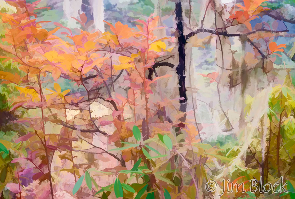 BHU-1136--Forest-Scene-near-Kila---Pan-(2)-Watercolor-II