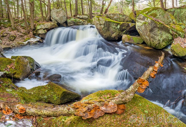 EC907--Mushrooms-at-the-Falls---Pan-(14)