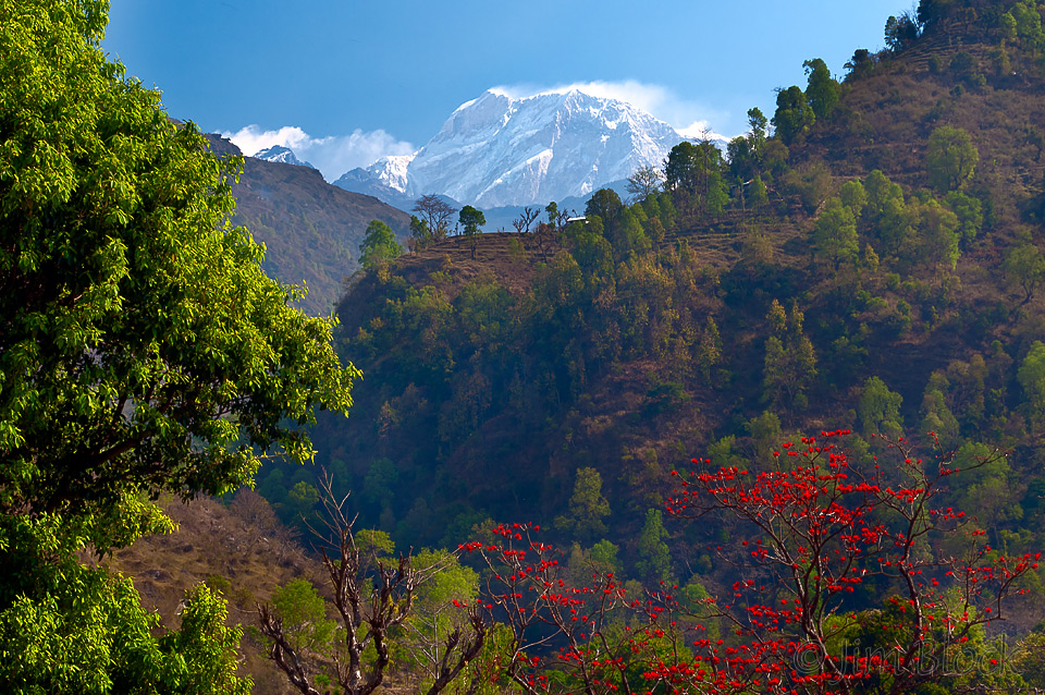 NPL-31839 Manaslu