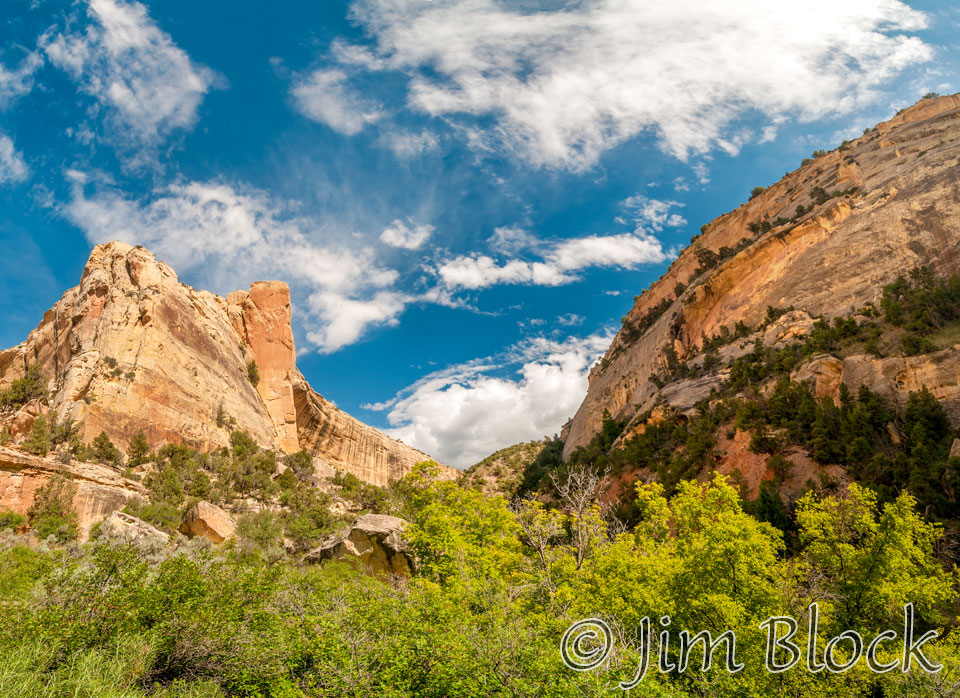 EE477-Hike-to-Wagon-Wheel-Point-thru-Bull-Canyon---Pan-(3)