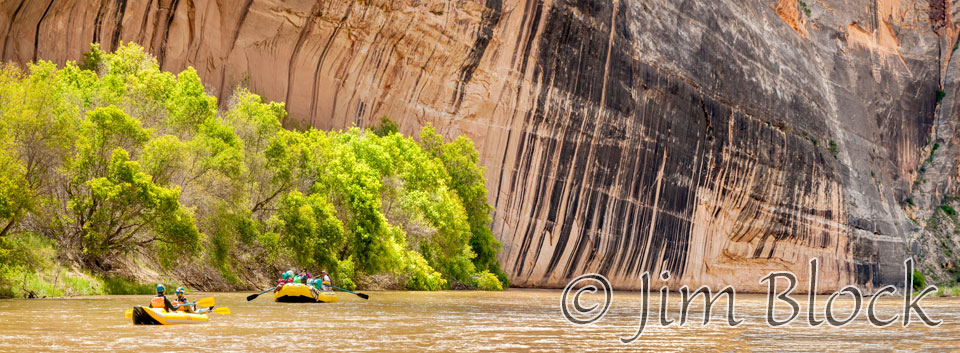 EE626--Tiger-Wall----Pan-(3)