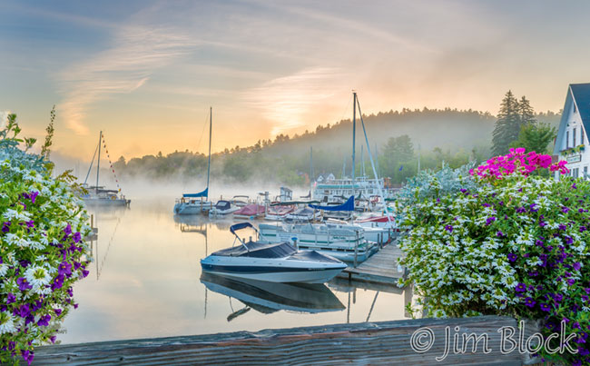 EF663-Plant-Frames-in-the-Harbor---DoF