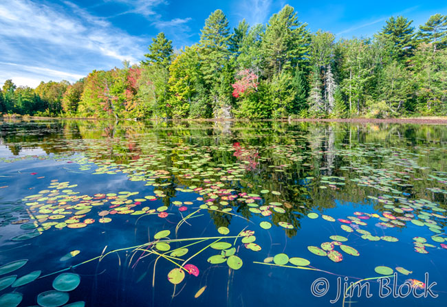 EF827--Lilypads-at-McDaniels----Pan-(2)