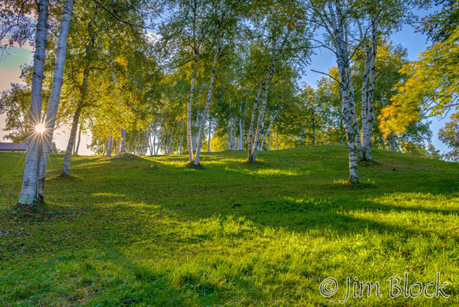 EG022--Sun-through-birch-on-Caper-Hill