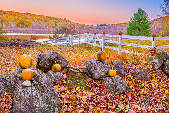 EG359--Pumpkins-and-Bog--HDR2