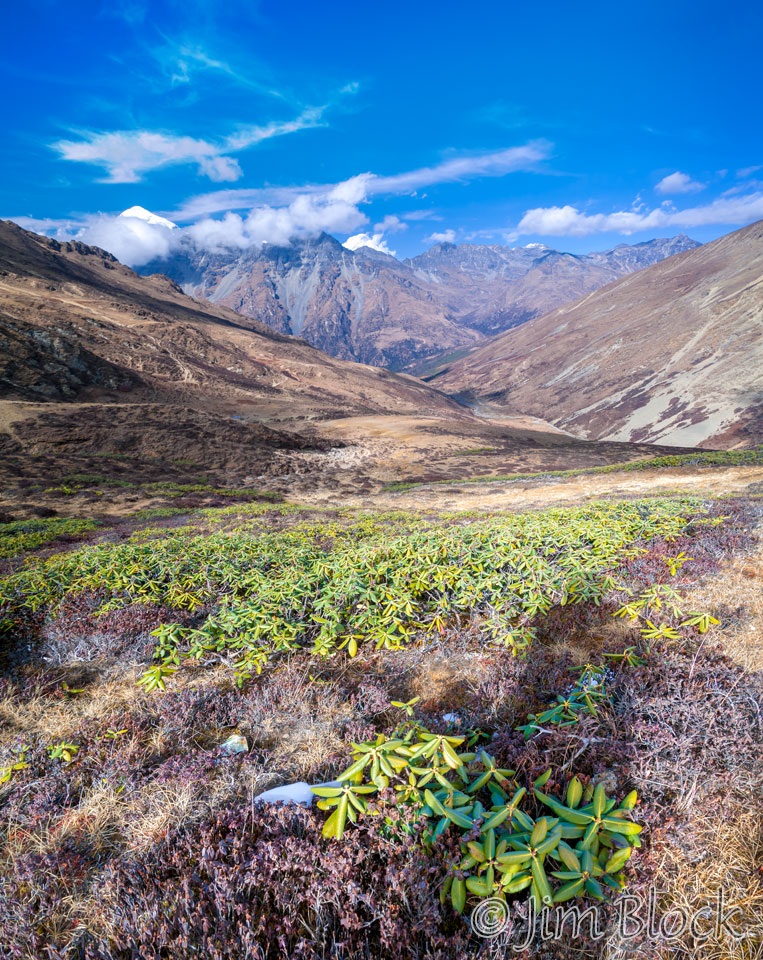 BHU-10257--Mount-Jhomolhari-from-near-Takhung-La---Pan-(3)