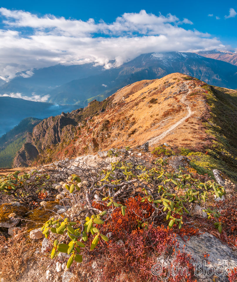 BHU-10561--Trail-down-from-Trek---Pan-(3)